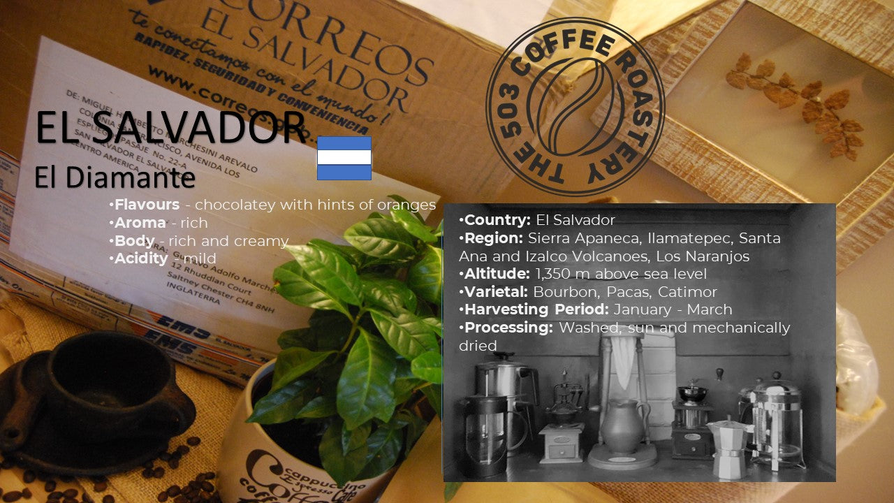 EL SALVADOR EL DIAMANTE MEDIUM ROAST