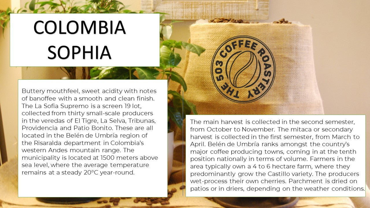 COLOMBIA FINCA SOPHIA MEDIUM ROAST